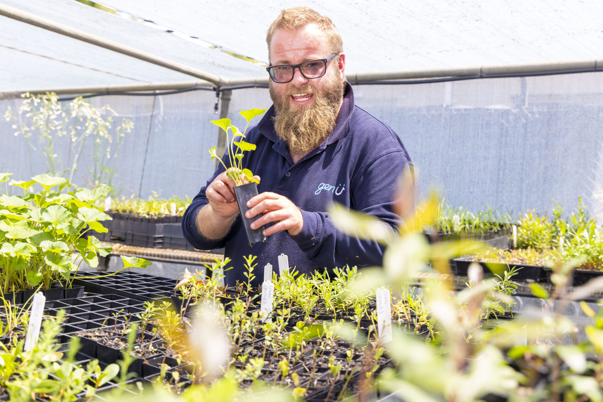 Supported employee Jack is smiling and standing in the shade house holding a plant. He is surrounded by trays of other plants in small black plastic tubs.